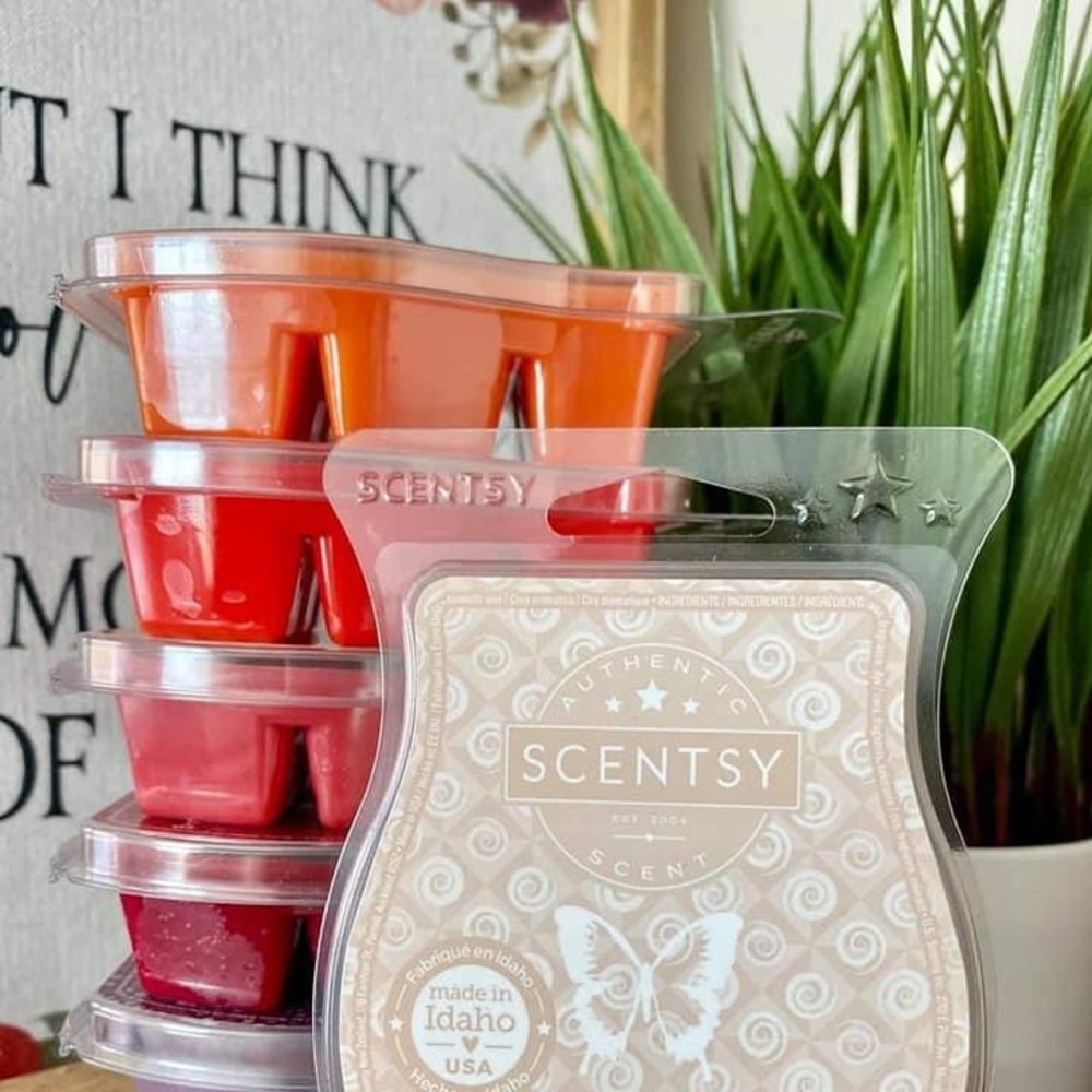 6 Scentsy Bars